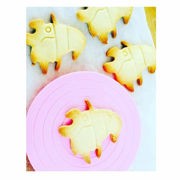 Levering door heel Nederland